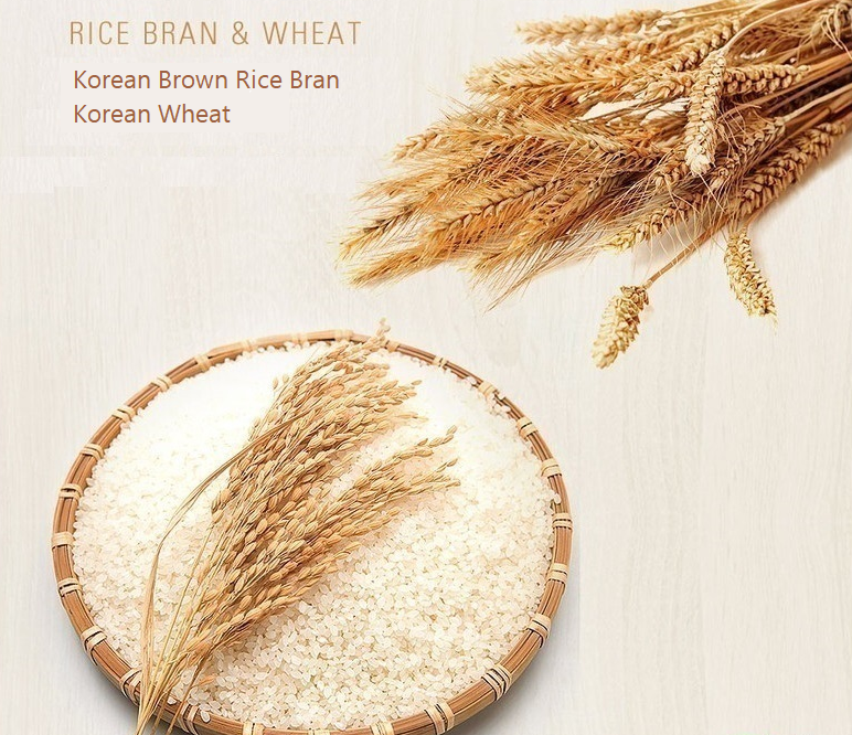 [Aekyung] Natural Brown Rice Grain Dish Detergent 트리오 곡물설거지 우리현미 주방세제