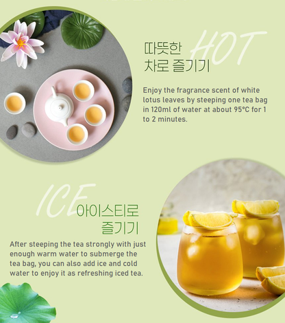 [Teazen] Lotus Leaf Tea / Jeju Green Tea (40T) 티젠 유기농 제주녹차 / 연잎차