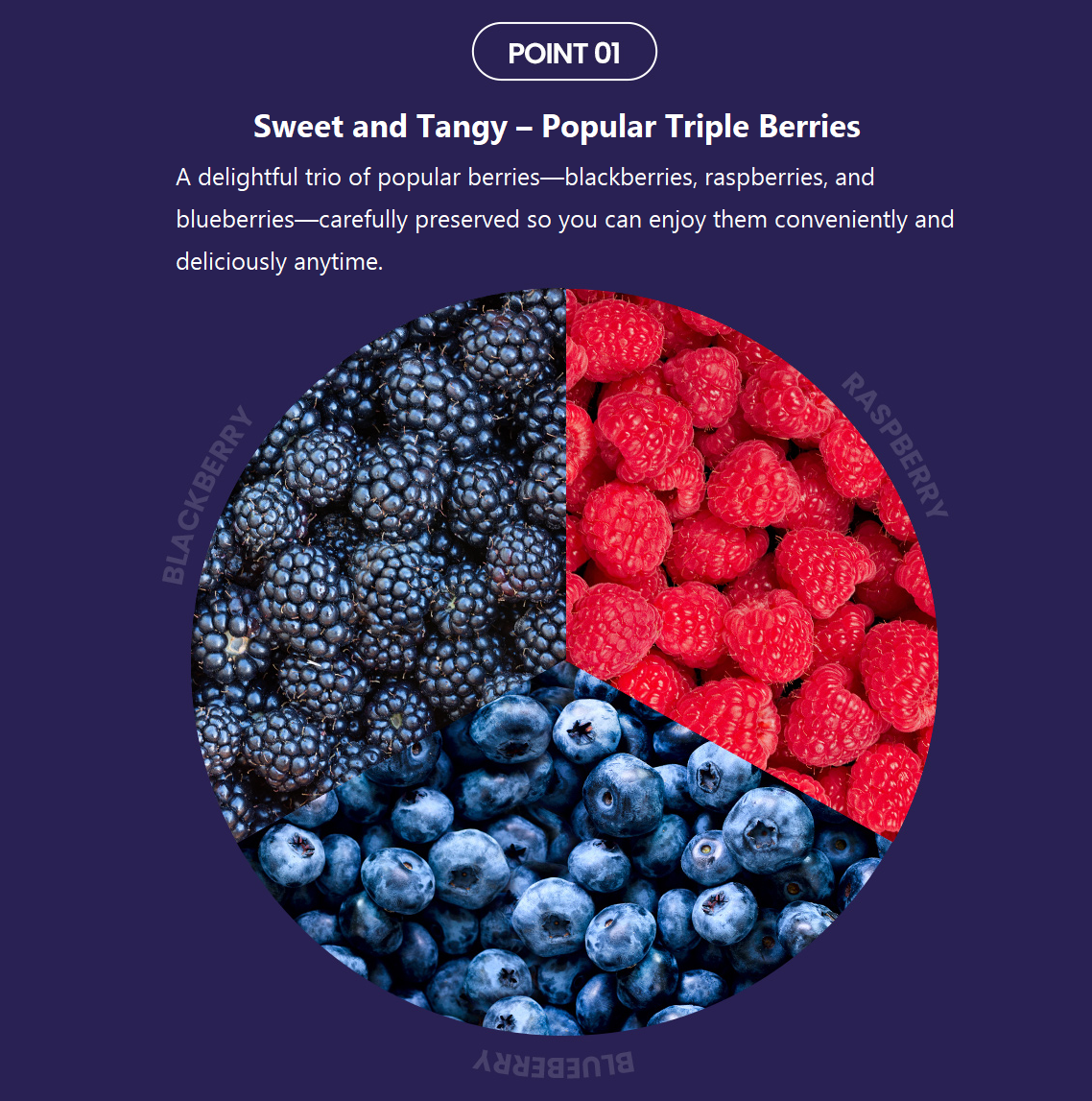 [Wellfarm] Fresh Frozen Triple Berry 1.3kg (웰팜 냉동 트리플베리)